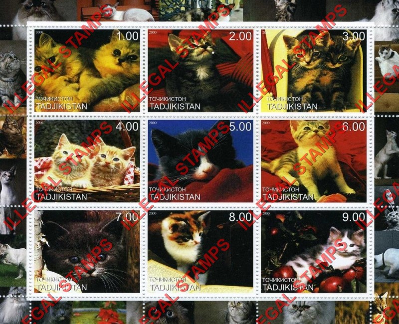 Tajikistan 2000 Cats Illegal Stamp Souvenir Sheet of 9