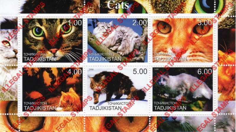 Tajikistan 2000 Cats Illegal Stamp Souvenir Sheets of 6 (Part 2)