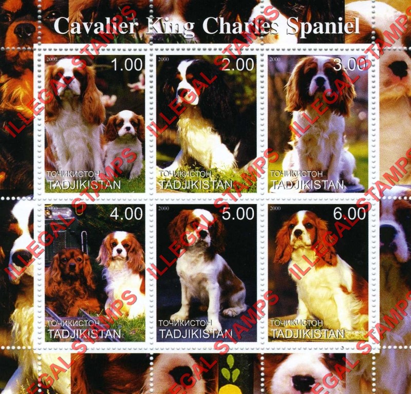 Tajikistan 2000 Dogs Cavalier King Charles Spaniel Illegal Stamp Souvenir Sheet of 6