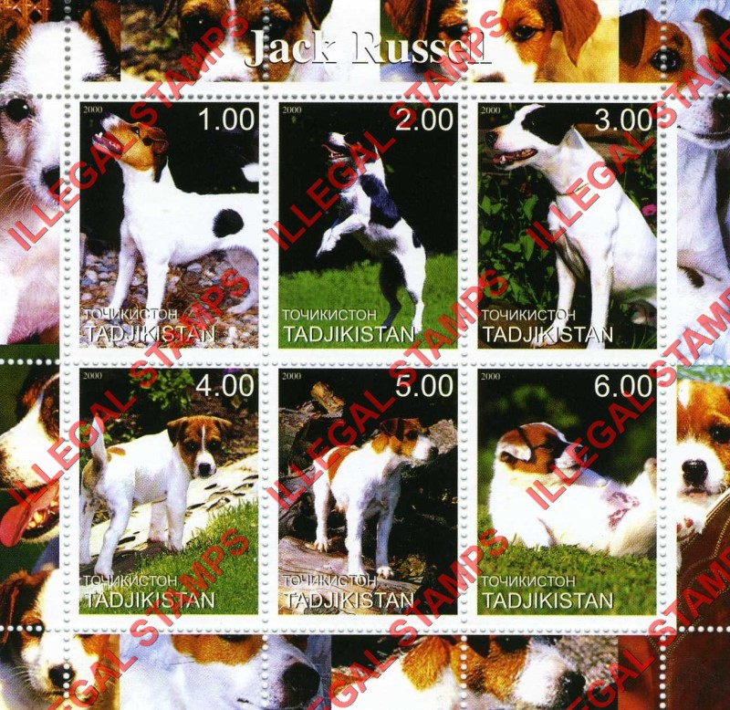 Tajikistan 2000 Dogs Jack Russell Illegal Stamp Souvenir Sheet of 6