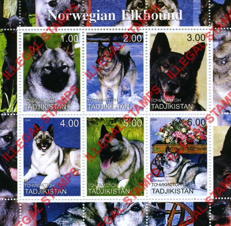 Tajikistan 2000 Dogs Norwegian Elkhound Illegal Stamp Souvenir Sheet of 6