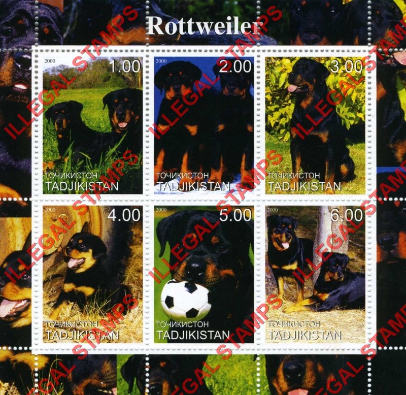 Tajikistan 2000 Dogs Rottweiler Illegal Stamp Souvenir Sheet of 6