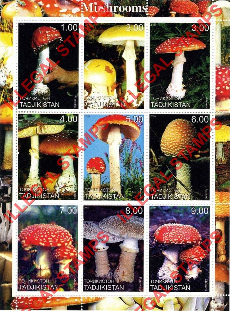 Tajikistan 2000 Mushrooms Illegal Stamp Souvenir Sheet of 9