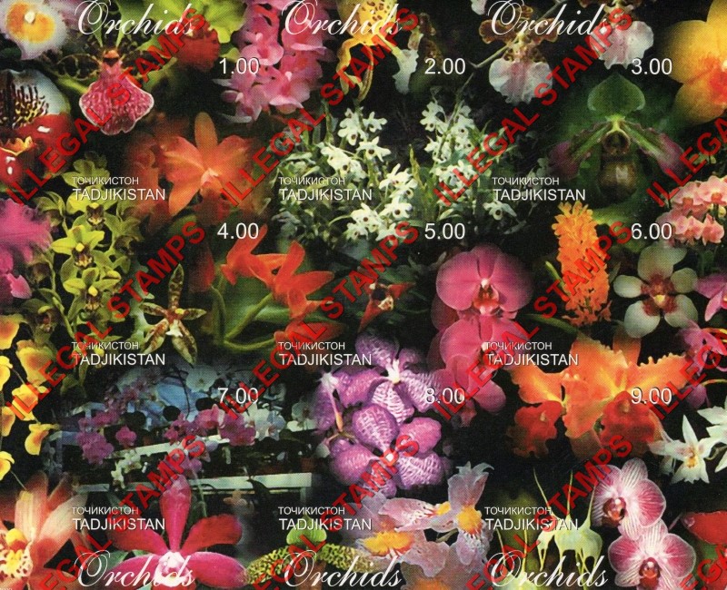 Tajikistan 2000 Orchids Illegal Stamp Souvenir Sheet of 9