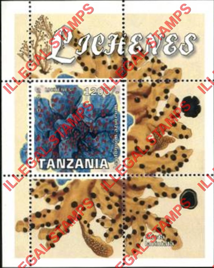 Tanzania 2010 Lichenes Illegal Stamp Souvenir Sheet of 1