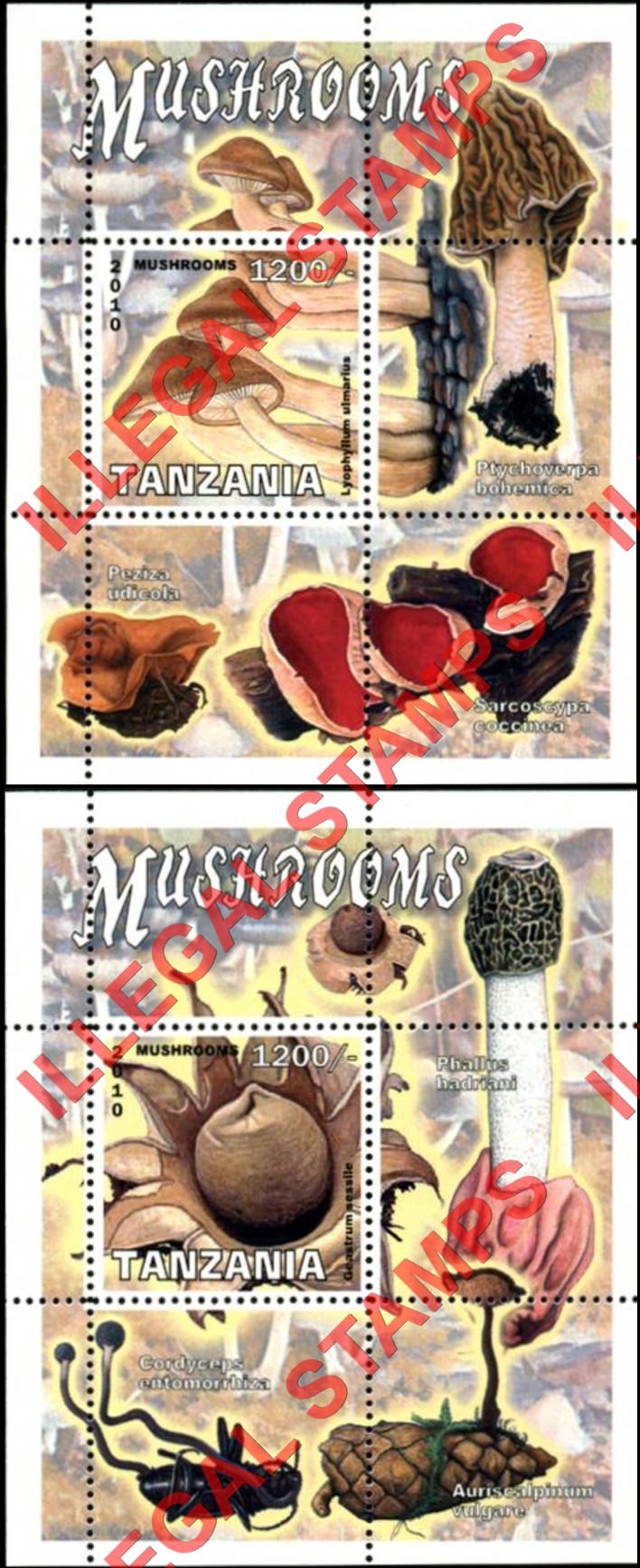Tanzania 2010 Mushrooms Illegal Stamp Souvenir Sheets of 1