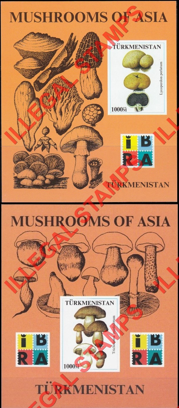 Turkmenistan 1999 Mushrooms of Asia with IBRA logo Illegal Stamp Souvenir Sheets of 1