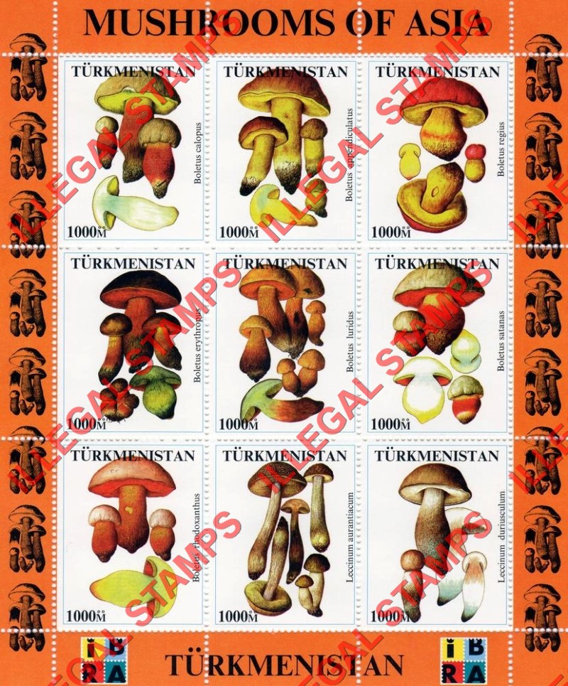 Turkmenistan 1999 Mushrooms of Asia with IBRA logo Illegal Stamp Souvenir Sheets of 9 (Sheet 2)