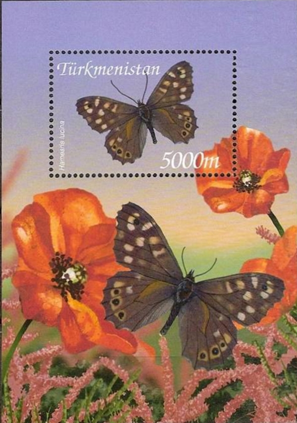 Turkmenistan 2002 Butterflies of Turkmenistan Scott Catalog No. 93