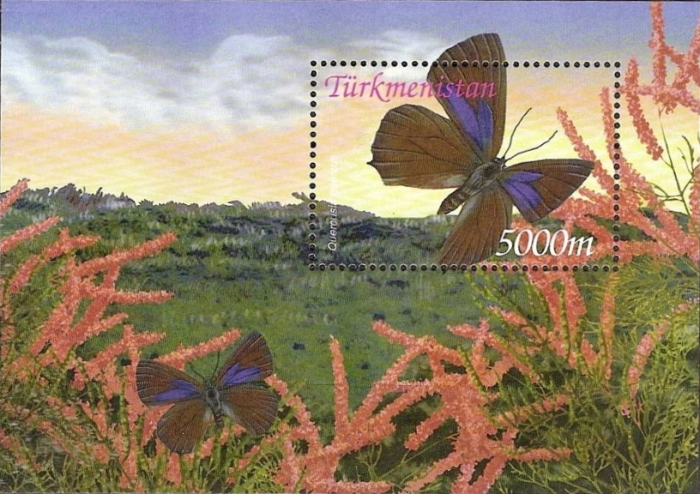 Turkmenistan 2002 Butterflies of Turkmenistan Scott Catalog No. 94