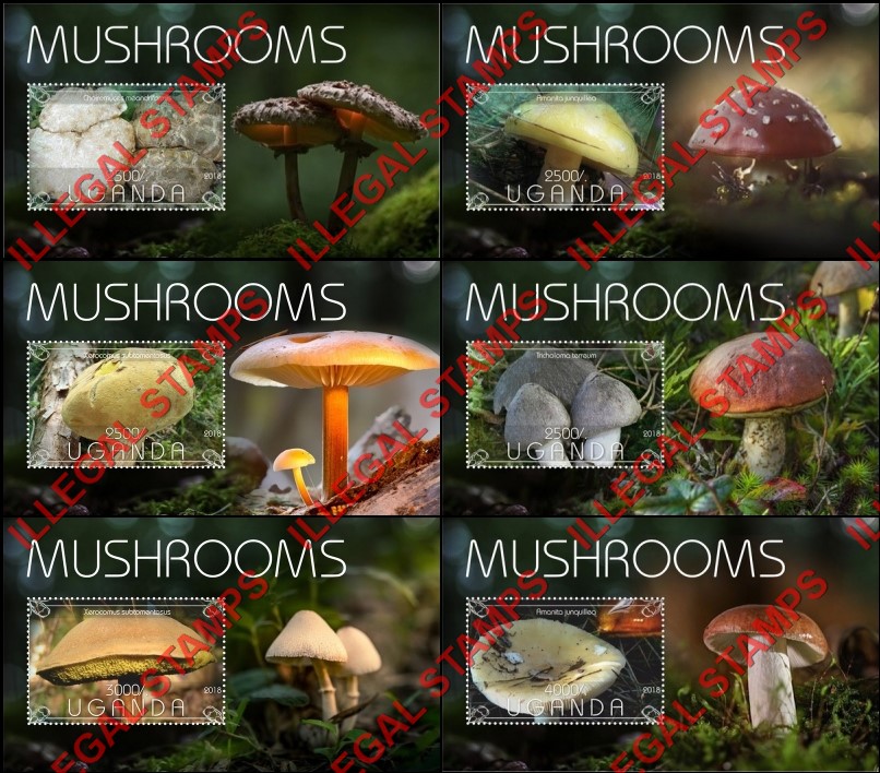 Uganda 2018 Mushrooms Illegal Stamp Souvenir Sheets of 1