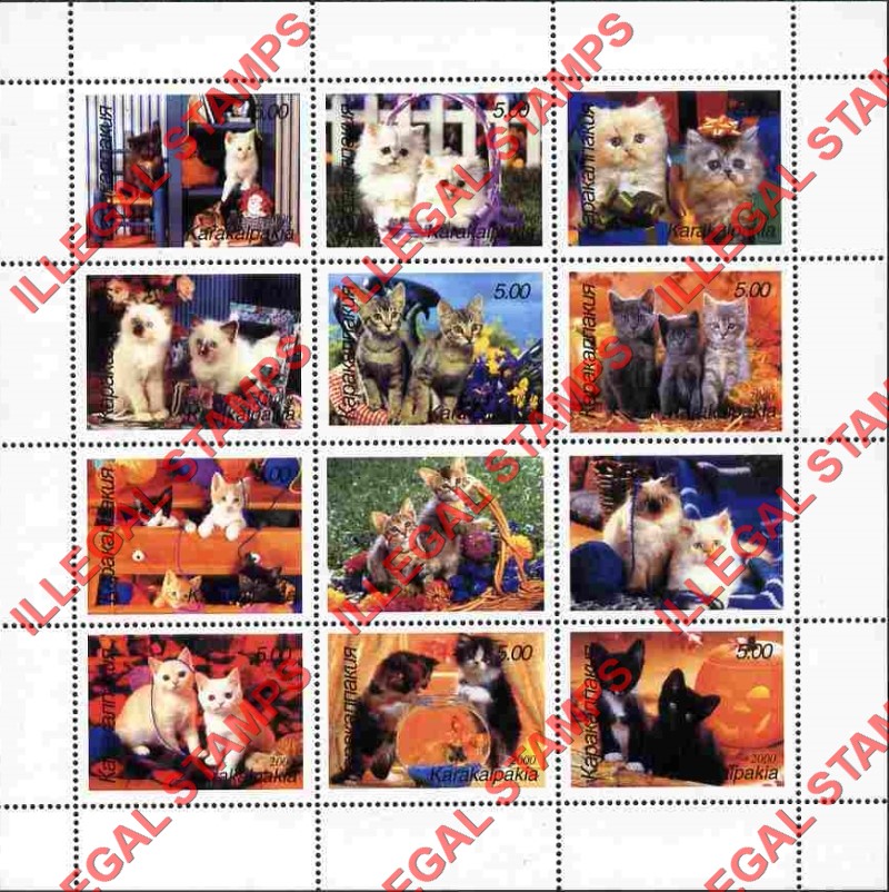KARAKALPAKIA 2000 Cats Kittens Counterfeit Illegal Stamp Souvenir Sheet of 12