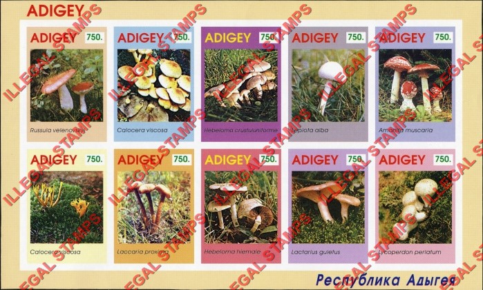 Republic of Adygea 1996 Mushrooms Illegal Stamps