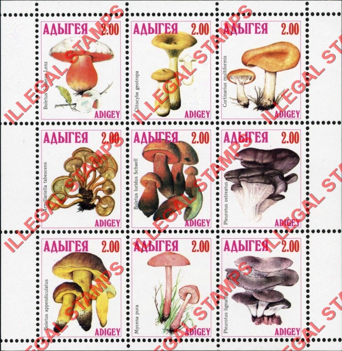 Republic of Adygea 1998 Mushrooms Illegal Stamps