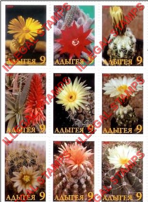 Republic of Adygea 2009 Cactus Flowers Illegal Stamps