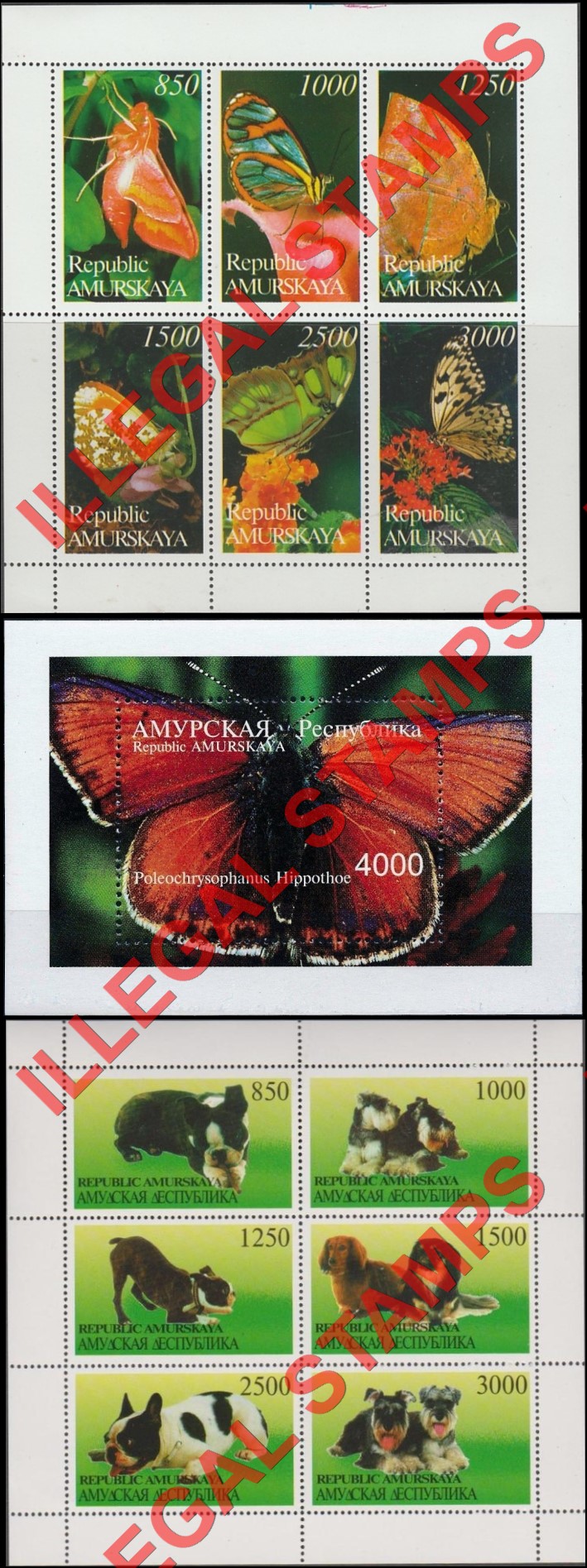 Amurskaya Province 1997 Butterflies and Dogs Illegal Stamps