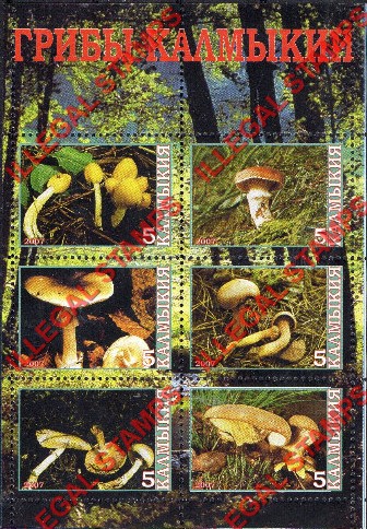 Kamchatka Region 2007 Illegal Stamps