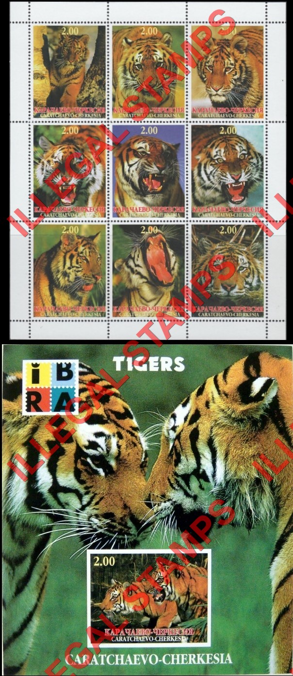 Karachevo-Cherkessia 1999 Tigers Illegal Stamps