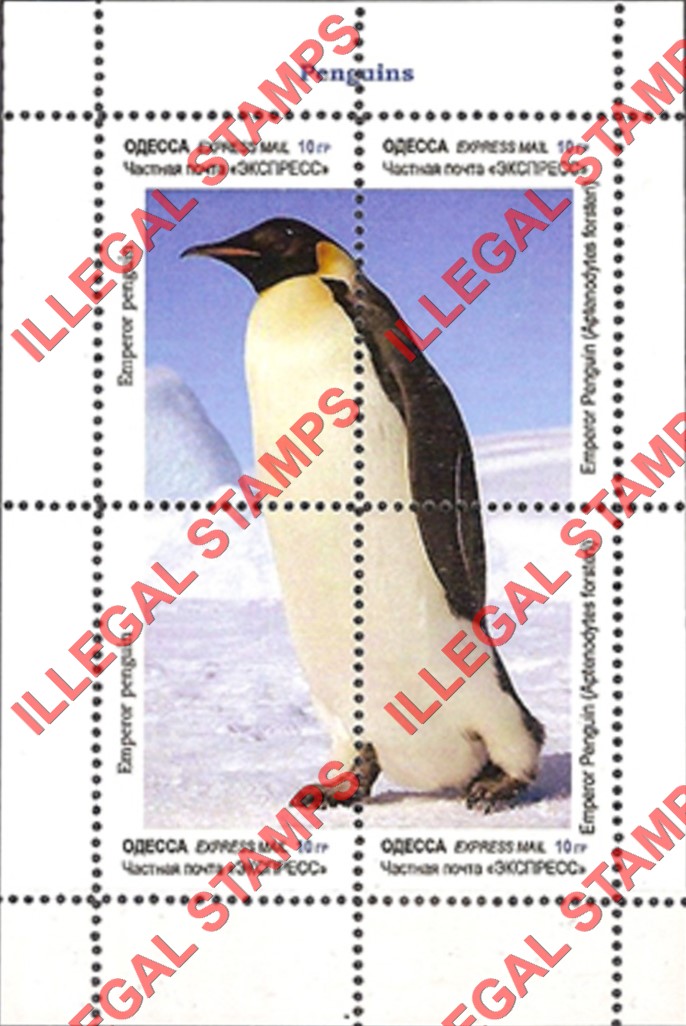 Odessa 2013 Emperor Penguins Illegal Stamps