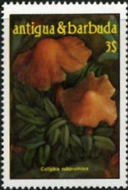 1986 Mushrooms 3$ Unissued Error Stamp
