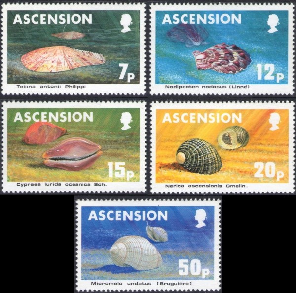 1983 Sea Shells Stamps