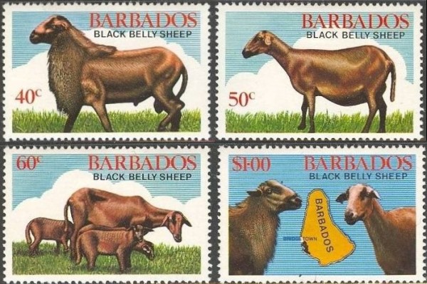 1982 Black Belly Sheep Stamps