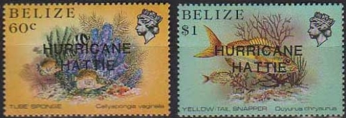 1984 Marine Life From the Belize Coral Reef Overprinted 'HURRICANE HATTIE' Stamps