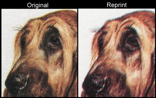 The Unauthorized Reprint Bequia Dogs Scott 179 Printing Comparison
