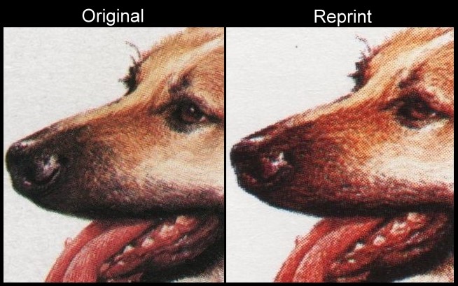 The Unauthorized Reprint Bequia Dogs Scott 180 Printing Comparison