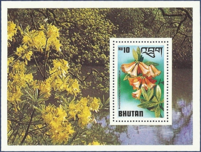 Bhutan 1976 Rhododendrons Souvenir Sheet