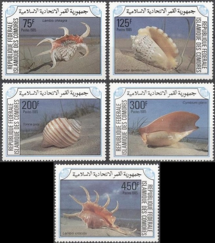 Comoro Islands 1985 Sea Shells Stamps