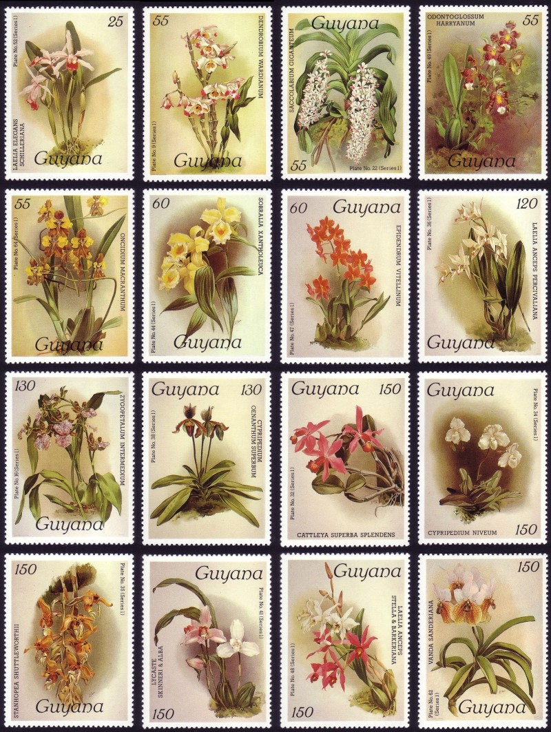 1985 Centenary of Publication of Sanders' Reichenbachia Orchids (2nd issue) Stamps