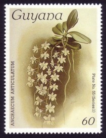 1985 Centenary of Publication of Sanders' Reichenbachia Orchids (4th issue) Stamp
