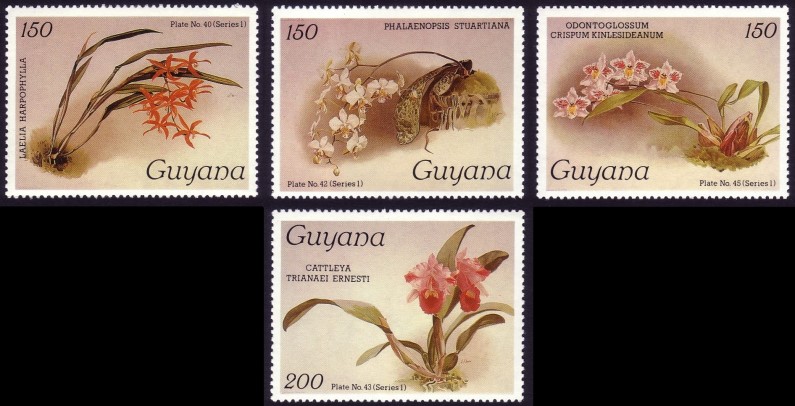 1986-7 Reichenbachia Orchids Watermarked (3rd set) Stamps