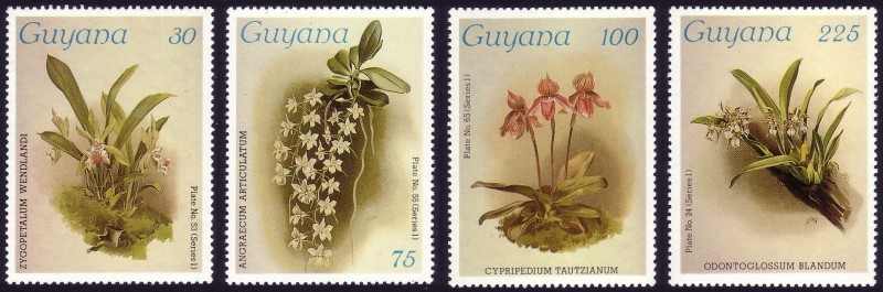 1986-7 Reichenbachia Orchids Watermarked (4th set) Stamps