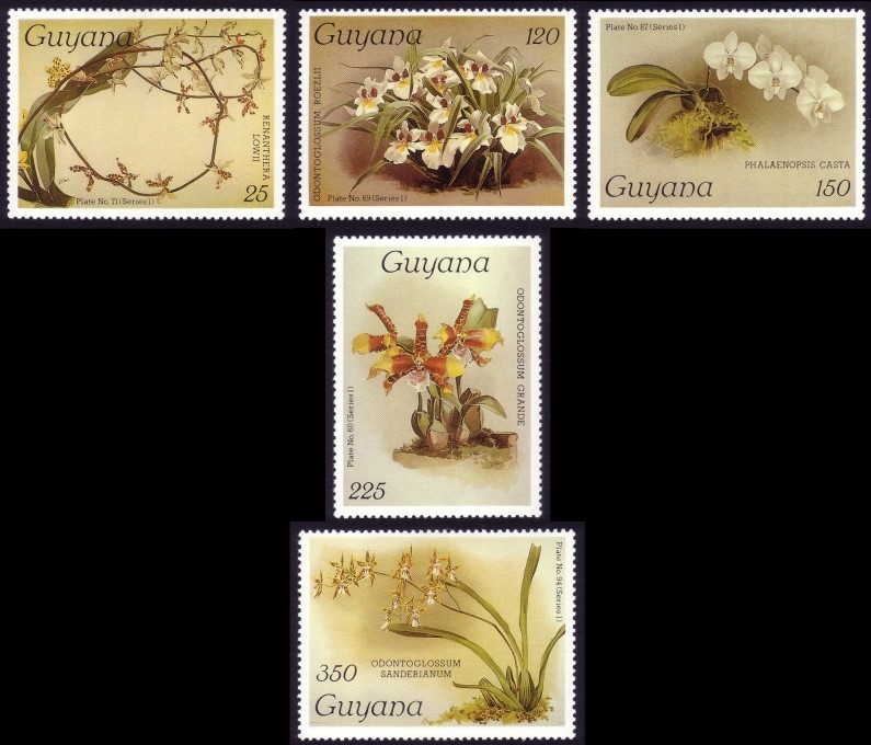 1986-7 Reichenbachia Orchids Watermarked (6th set) Stamps