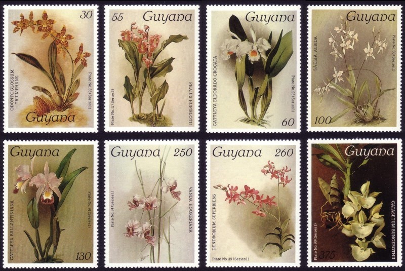 1986-7 Reichenbachia Orchids Watermarked (7th set) Stamps