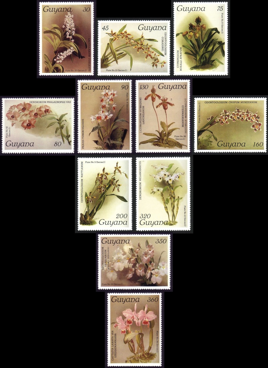 1986 Centenary of Publication of Sanders' Reichenbachia Orchids (10th issue) Stamps