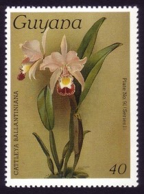 1986 Centenary of Publication of Sanders' Reichenbachia Orchids (11th issue) Stamps