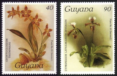 1986 Centenary of Publication of Sanders' Reichenbachia Orchids (12th issue) Stamps