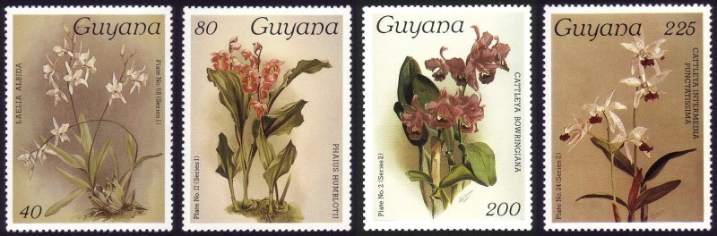 1986 Centenary of Publication of Sanders' Reichenbachia Orchids (14th issue) Stamps