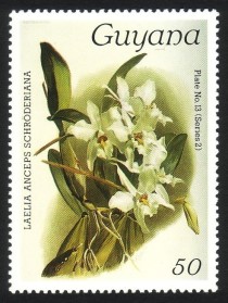 1986 Centenary of Publication of Sanders' Reichenbachia Orchids (15th issue) Stamps