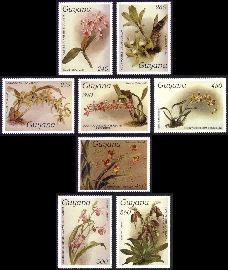 1987 Centenary of Publication of Sanders' Reichenbachia Orchids (20th issue) Stamps
