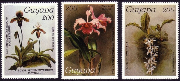 1987 Centenary of Publication of Sanders' Reichenbachia Orchids (23rd issue) Stamps