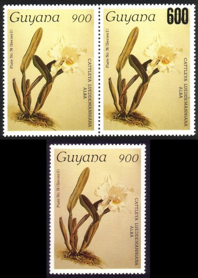 1987 Centenary of Publication of Sanders' Reichenbachia Orchids (24th issue) Stamps