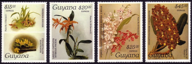 1987 Centenary of Publication of Sanders' Reichenbachia Orchids Special Delivery Stamps