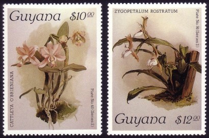 1988 Centenary of Publication of Sanders' Reichenbachia Orchids (28th issue) Stamps
