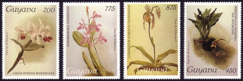 1988 Centenary of Publication of Sanders' Reichenbachia Orchids (30th issue) Stamps