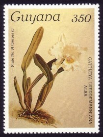 1988 Centenary of Publication of Sanders' Reichenbachia Orchids (31st issue) Stamps