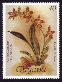 1986 Centenary of Publication of Sanders' Reichenbachia Orchids 40c Spelling Error Stamp
